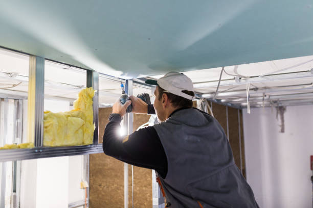 Best Insulation Installation Services in Oak Grove, LA